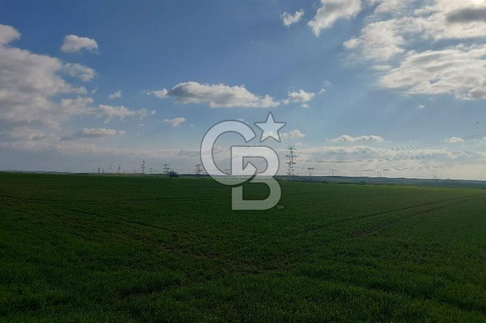 Tekirdağ Çorlu Şahpa'da 22.300 M2 467 M Resmi Yola Cepheli Satılık Tarla