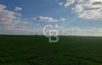 Tekirdağ Çorlu Şahpa'da 22.300 M2 467 M Resmi Yola Cepheli Satılık Tarla
