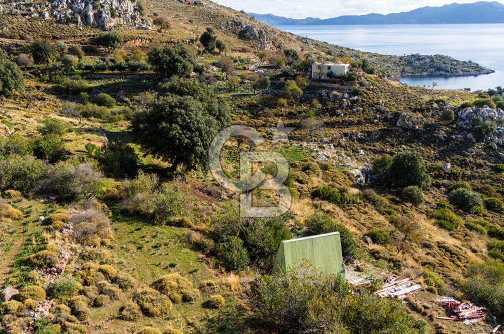 BOZBURUN'DA FULL DENİZ VE SYMİ ADA MANZARALI FIRSAT!