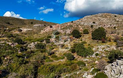 BOZBURUN'DA FULL DENİZ VE SYMİ ADA MANZARALI FIRSAT!