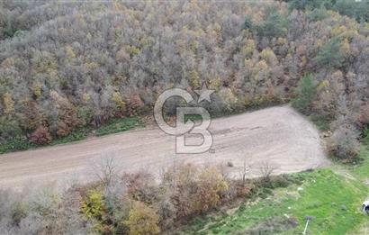 ÇANAKKALE BİGA AKKAYRAK KÖYÜNDE 6090 M2 SATILIK TARLA