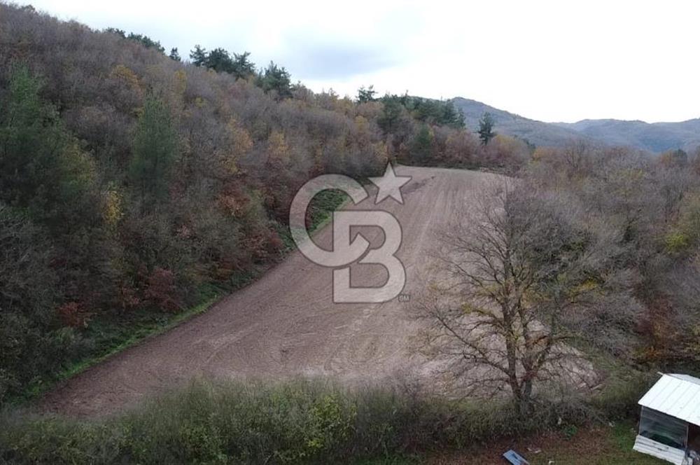 ÇANAKKALE BİGA AKKAYRAK KÖYÜNDE 6090 M2 SATILIK TARLA