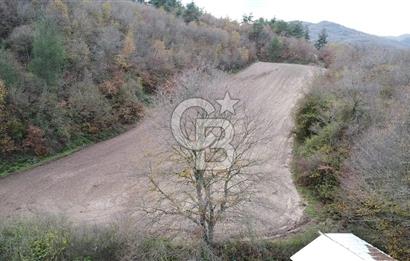 ÇANAKKALE BİGA AKKAYRAK KÖYÜNDE 6090 M2 SATILIK TARLA