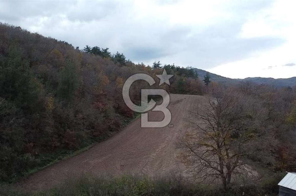 ÇANAKKALE BİGA AKKAYRAK KÖYÜNDE 6090 M2 SATILIK TARLA
