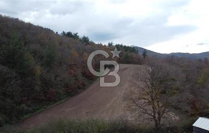 ÇANAKKALE BİGA AKKAYRAK KÖYÜNDE 6090 M2 SATILIK TARLA