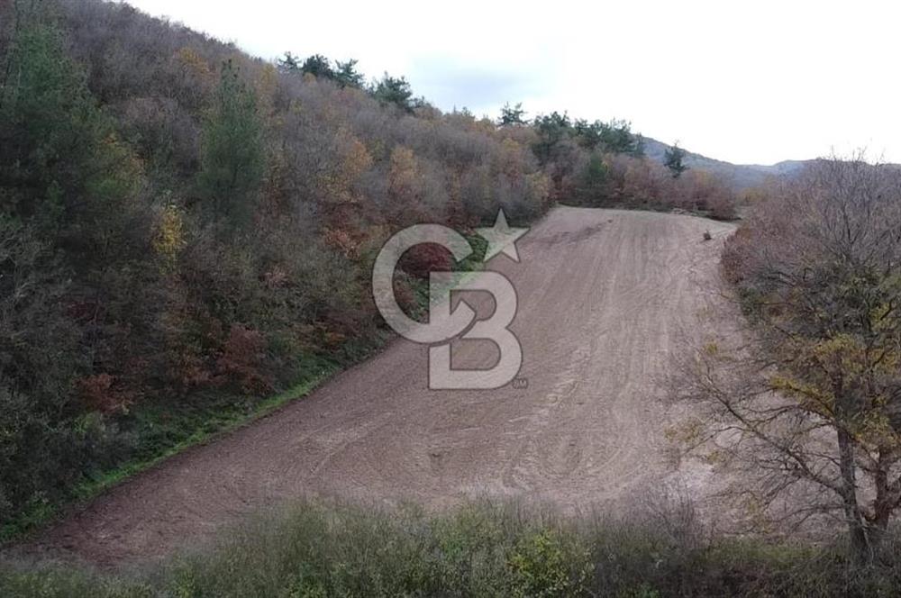 ÇANAKKALE BİGA AKKAYRAK KÖYÜNDE 6090 M2 SATILIK TARLA
