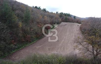 ÇANAKKALE BİGA AKKAYRAK KÖYÜNDE 6090 M2 SATILIK TARLA