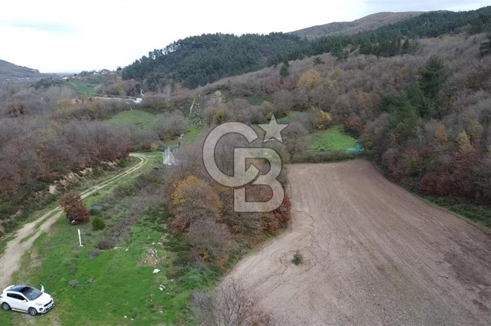 ÇANAKKALE BİGA AKKAYRAK KÖYÜNDE 6090 M2 SATILIK TARLA