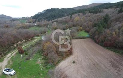 ÇANAKKALE BİGA AKKAYRAK KÖYÜNDE 6090 M2 SATILIK TARLA