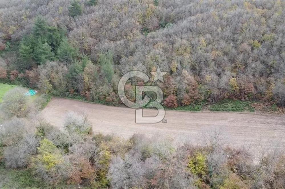 ÇANAKKALE BİGA AKKAYRAK KÖYÜNDE 6090 M2 SATILIK TARLA