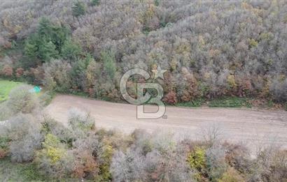 ÇANAKKALE BİGA AKKAYRAK KÖYÜNDE 6090 M2 SATILIK TARLA