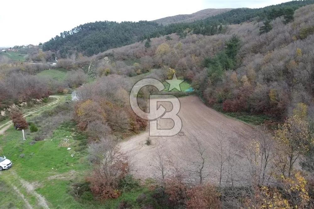 ÇANAKKALE BİGA AKKAYRAK KÖYÜNDE 6090 M2 SATILIK TARLA