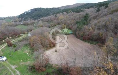 ÇANAKKALE BİGA AKKAYRAK KÖYÜNDE 6090 M2 SATILIK TARLA