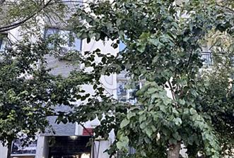 GAZİEMİR GAZİ MH. 3+1 SİTE İÇERİSİ GENİŞ AYDINLIK FERAH DAİRE - 6 - 324125