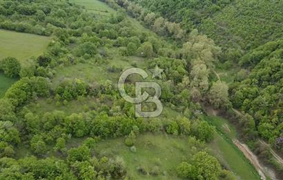 ÇANAKKALE BİGA'DA 6 PARSEL TOPLAM 55.000 M2 ARAZİ