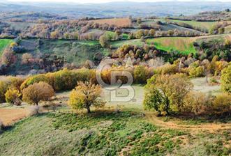 ÇANAKKALE BİGA DİKMEN'DE 36.350 M2 ARAZİ - 1 - 324159