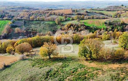 ÇANAKKALE BİGA DİKMEN'DE 36.350 M2 ARAZİ