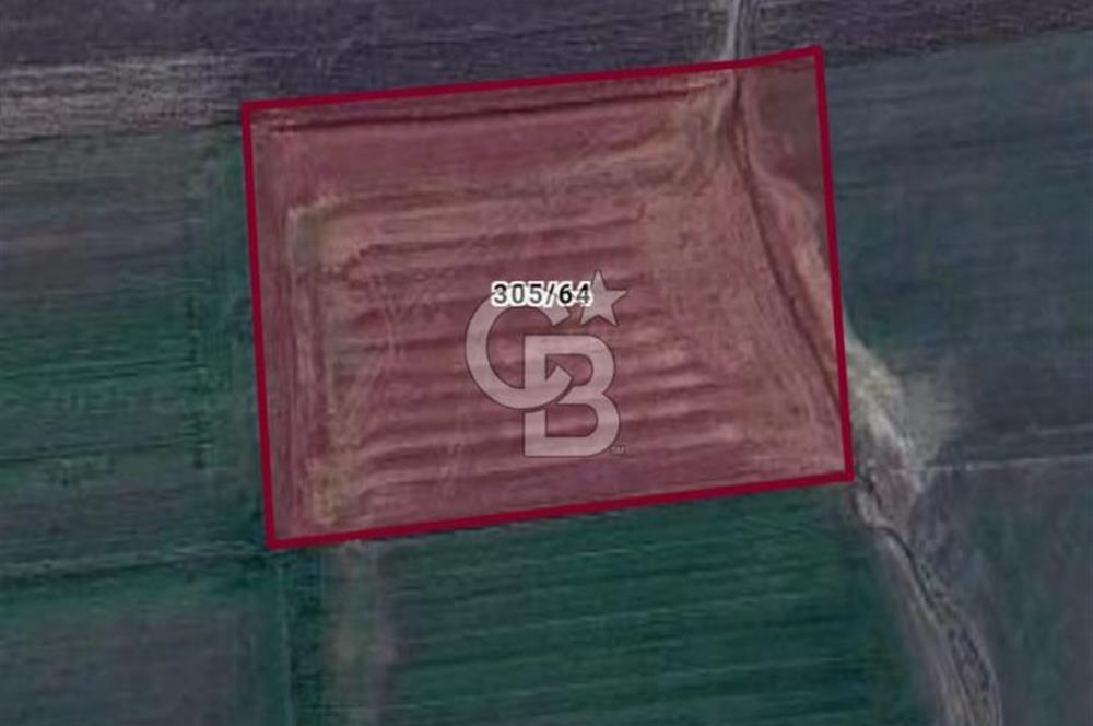 Çanakkale,Gelibolu, Demirtepe köyünde 500.06 m2 tarla