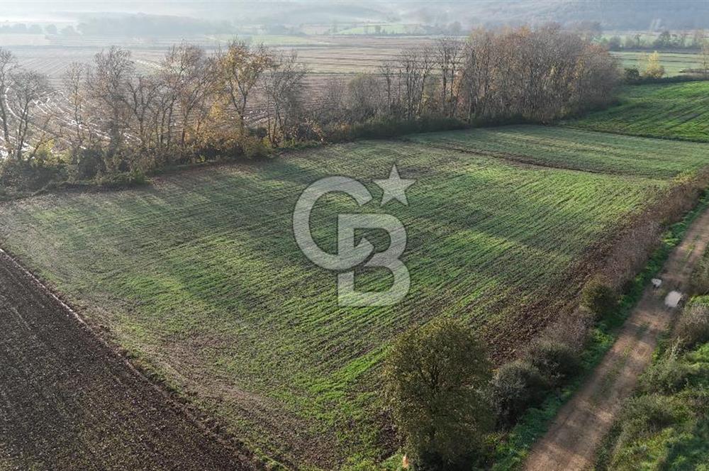 ÇANAKKALE, BİGA, ÇINARDERE KÖYÜ, SATILIK TARLA
