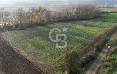 ÇANAKKALE, BİGA, ÇINARDERE KÖYÜ, SATILIK TARLA