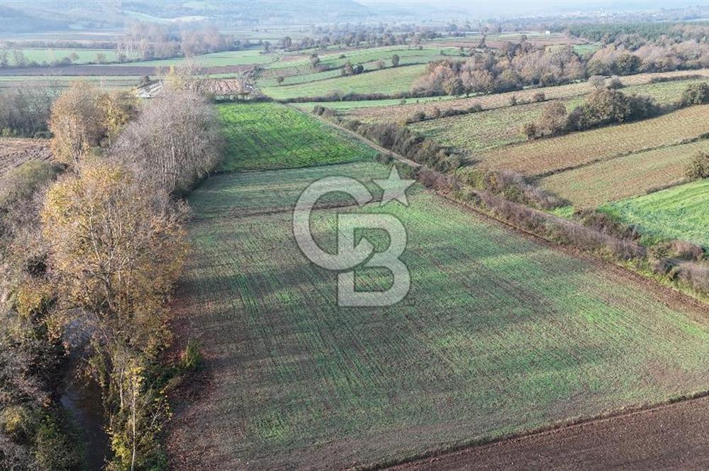 ÇANAKKALE, BİGA, ÇINARDERE KÖYÜ, SATILIK TARLA