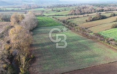 ÇANAKKALE, BİGA, ÇINARDERE KÖYÜ, SATILIK TARLA