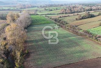 ÇANAKKALE, BİGA, ÇINARDERE KÖYÜ, SATILIK TARLA - 10 - 324172