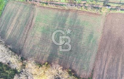 ÇANAKKALE, BİGA, ÇINARDERE KÖYÜ, SATILIK TARLA