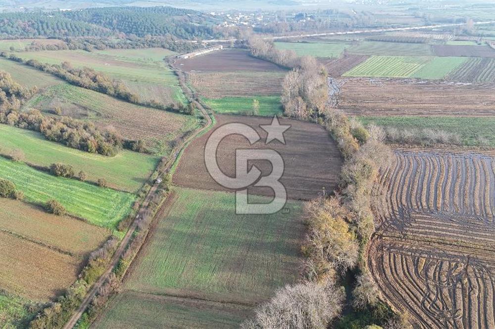 ÇANAKKALE, BİGA, ÇINARDERE KÖYÜ, SATILIK TARLA