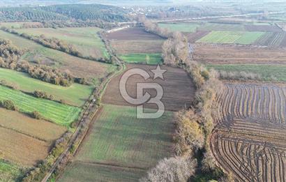 ÇANAKKALE, BİGA, ÇINARDERE KÖYÜ, SATILIK TARLA