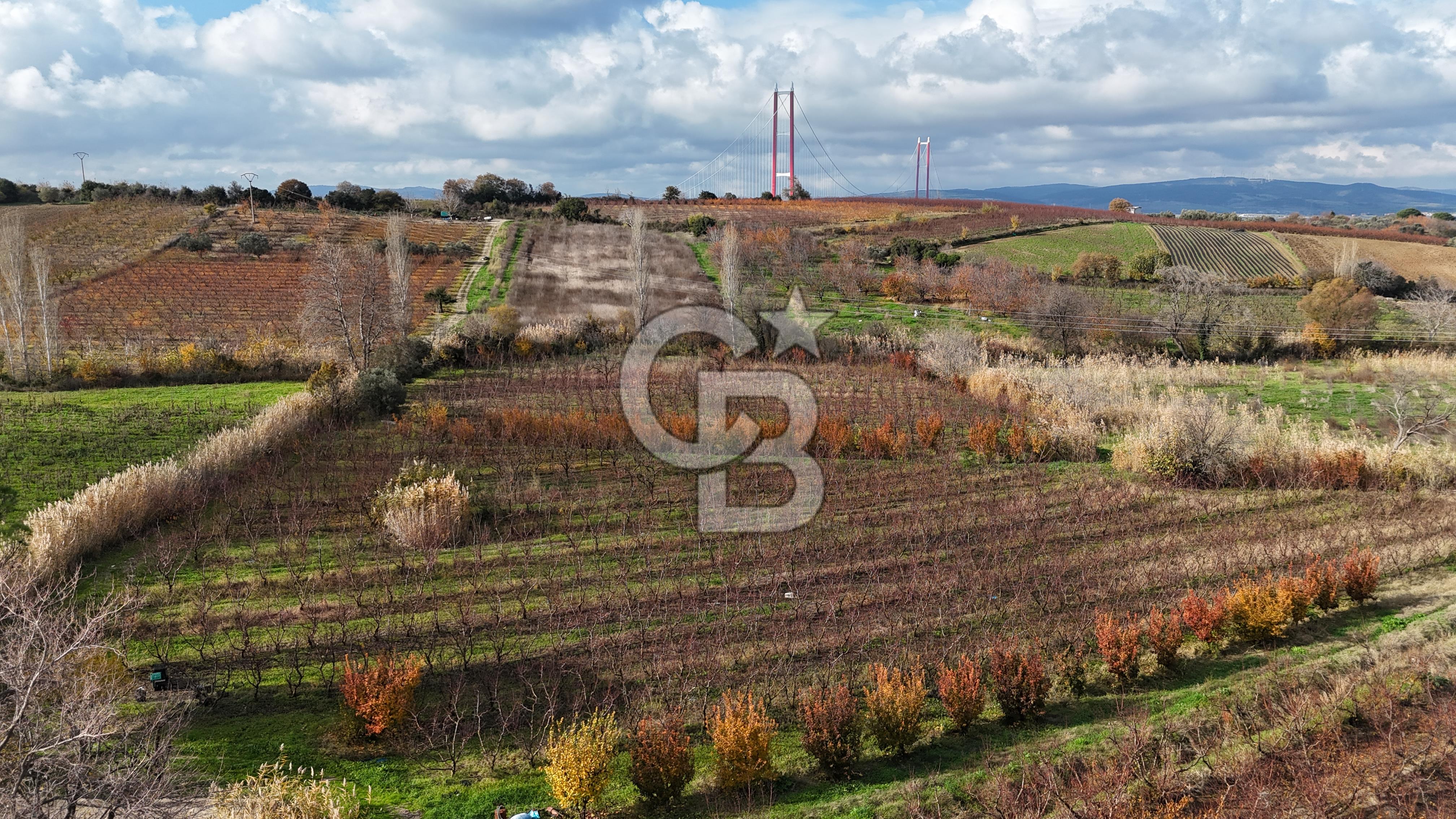 ÇANAKKALE, LAPSEKİ, GAZİ SÜLEYMAN PAŞA, SATILIK TARLA