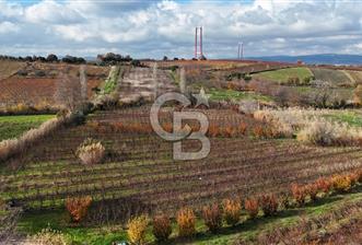 ÇANAKKALE, LAPSEKİ, GAZİ SÜLEYMAN PAŞA, SATILIK TARLA - 9 - 324173