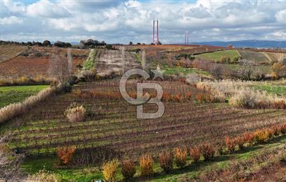 ÇANAKKALE, LAPSEKİ, GAZİ SÜLEYMAN PAŞA, SATILIK TARLA