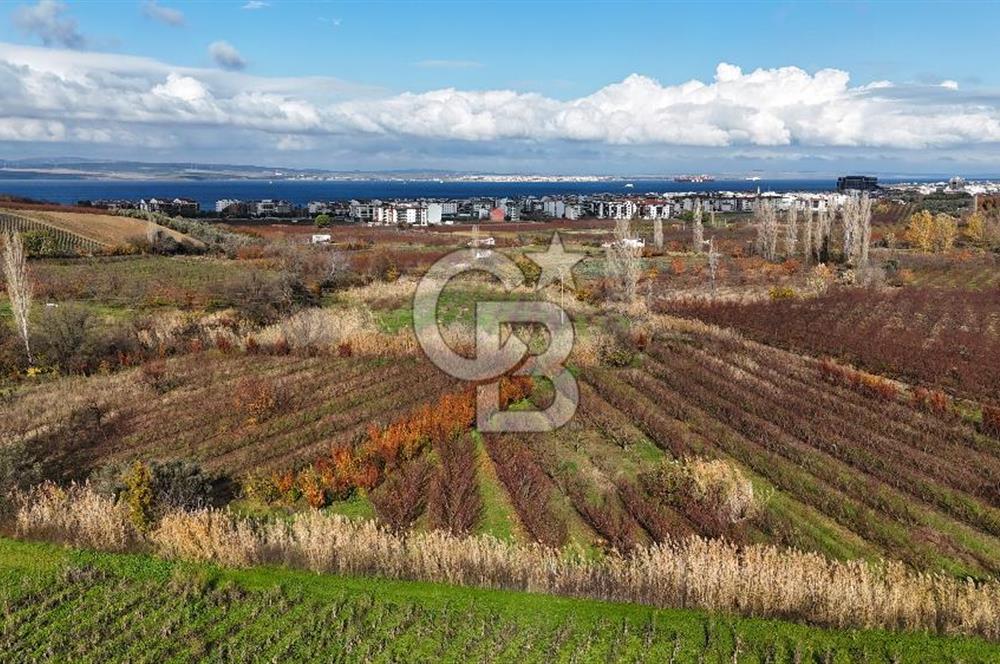ÇANAKKALE, LAPSEKİ, GAZİ SÜLEYMAN PAŞA, SATILIK TARLA