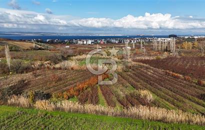 ÇANAKKALE, LAPSEKİ, GAZİ SÜLEYMAN PAŞA, SATILIK TARLA
