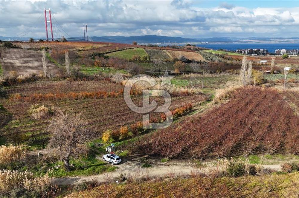 ÇANAKKALE, LAPSEKİ, GAZİ SÜLEYMAN PAŞA, SATILIK TARLA