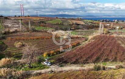 ÇANAKKALE, LAPSEKİ, GAZİ SÜLEYMAN PAŞA, SATILIK TARLA