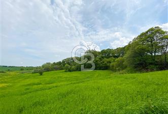 ÇANAKKALE BİGA SAZOBA KÖYÜNDE MÜKEMMEL KONUMDA SATILIK TARLA - 2 - 324153