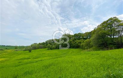 ÇANAKKALE BİGA SAZOBA KÖYÜNDE MÜKEMMEL KONUMDA SATILIK TARLA