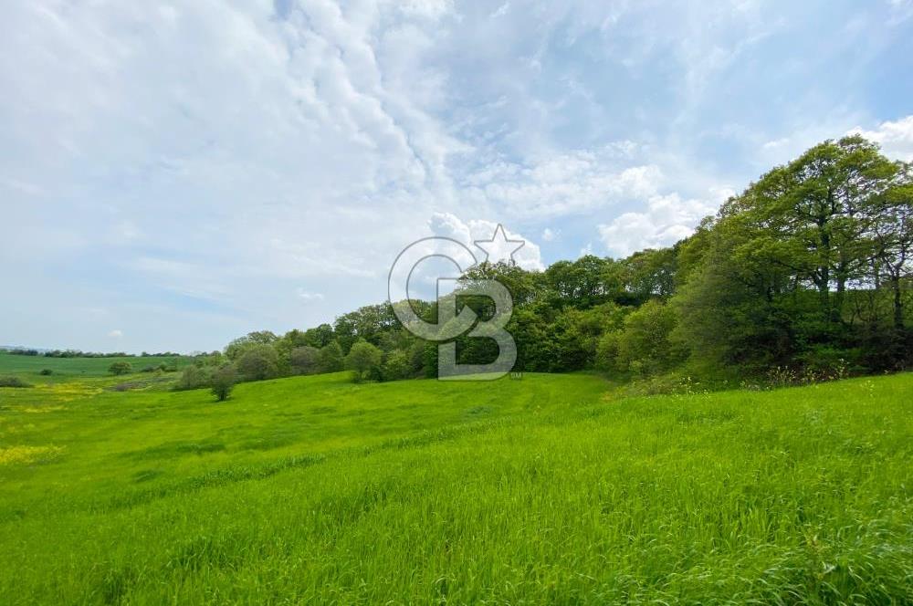 ÇANAKKALE BİGA SAZOBA KÖYÜNDE MÜKEMMEL KONUMDA SATILIK TARLA