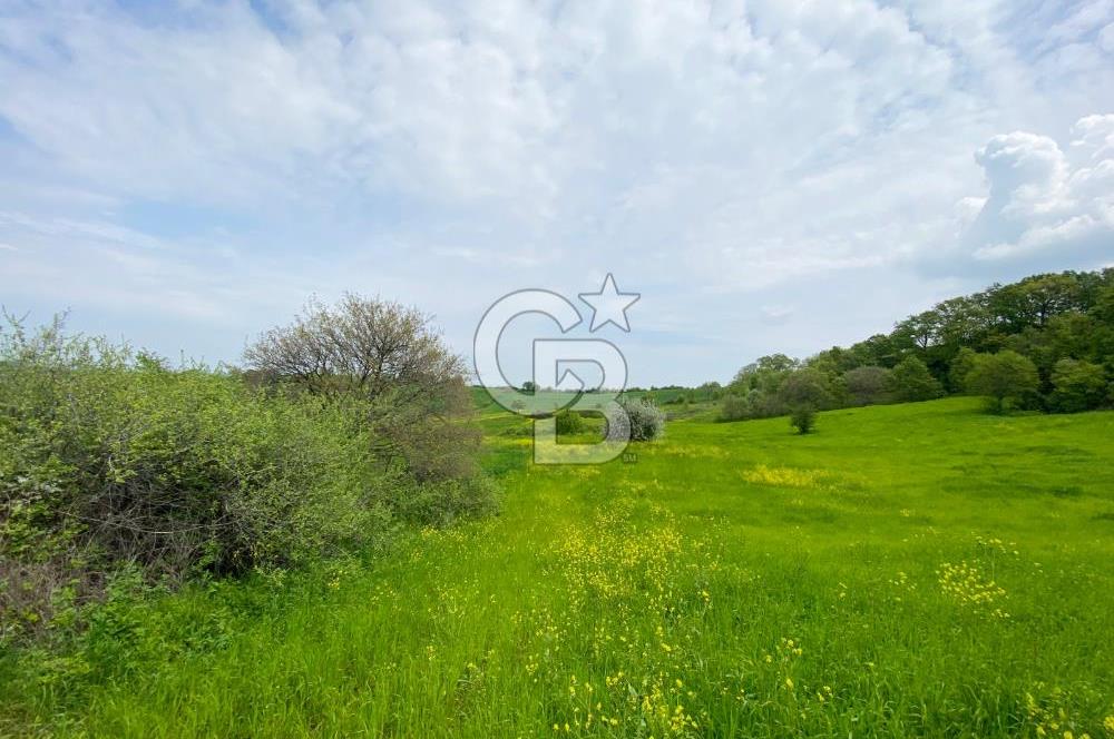 ÇANAKKALE BİGA SAZOBA KÖYÜNDE MÜKEMMEL KONUMDA SATILIK TARLA