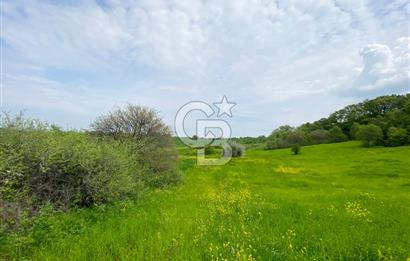 ÇANAKKALE BİGA SAZOBA KÖYÜNDE MÜKEMMEL KONUMDA SATILIK TARLA