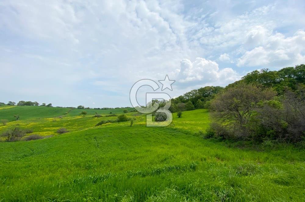 ÇANAKKALE BİGA SAZOBA KÖYÜNDE MÜKEMMEL KONUMDA SATILIK TARLA