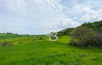 ÇANAKKALE BİGA SAZOBA KÖYÜNDE MÜKEMMEL KONUMDA SATILIK TARLA