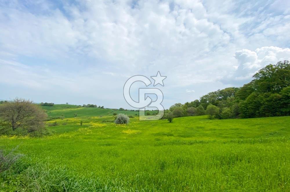 ÇANAKKALE BİGA SAZOBA KÖYÜNDE MÜKEMMEL KONUMDA SATILIK TARLA