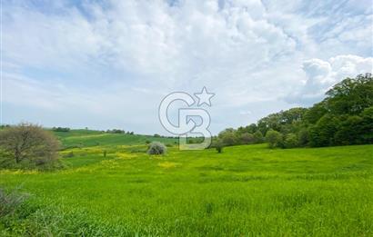 ÇANAKKALE BİGA SAZOBA KÖYÜNDE MÜKEMMEL KONUMDA SATILIK TARLA