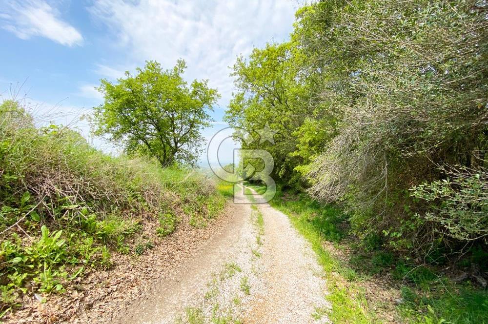 ÇANAKKALE BİGA SAZOBA KÖYÜNDE MÜKEMMEL KONUMDA SATILIK TARLA