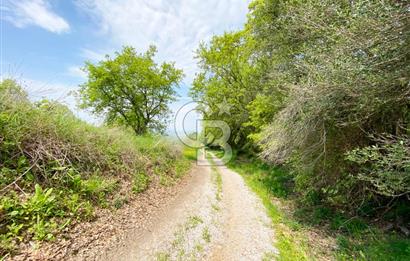 ÇANAKKALE BİGA SAZOBA KÖYÜNDE MÜKEMMEL KONUMDA SATILIK TARLA