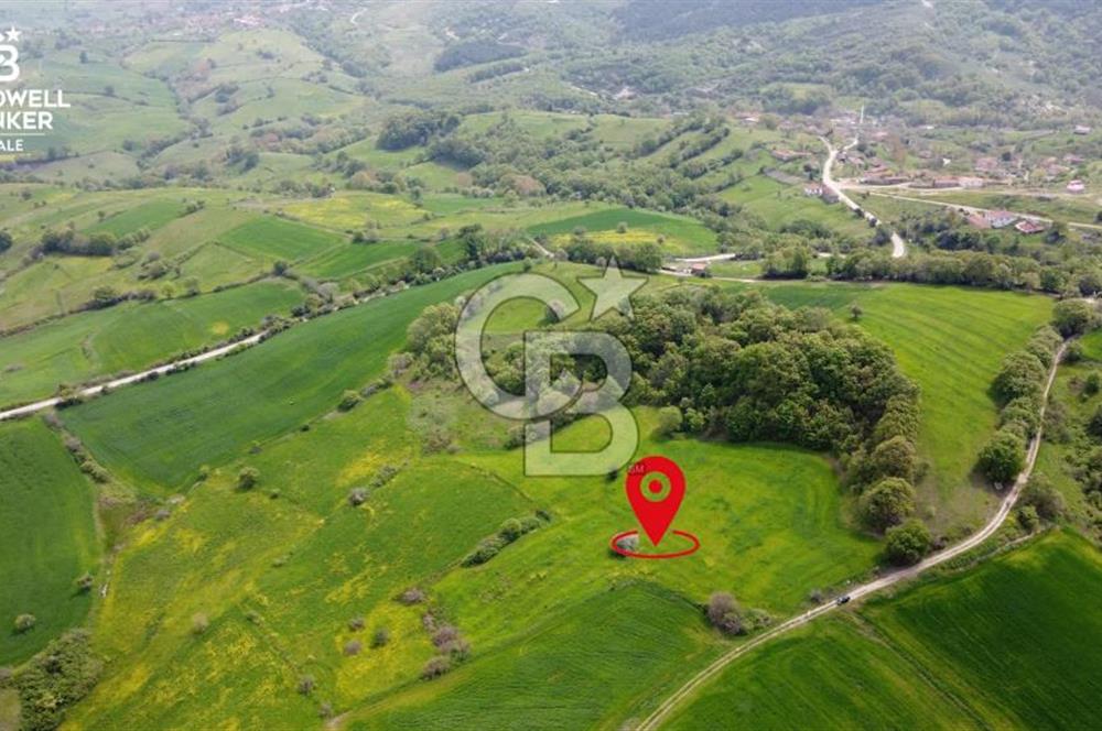ÇANAKKALE BİGA SAZOBA KÖYÜNDE MÜKEMMEL KONUMDA SATILIK TARLA