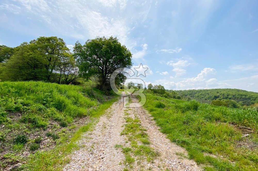 ÇANAKKALE BİGA SAZOBA KÖYÜNDE MÜKEMMEL KONUMDA SATILIK TARLA